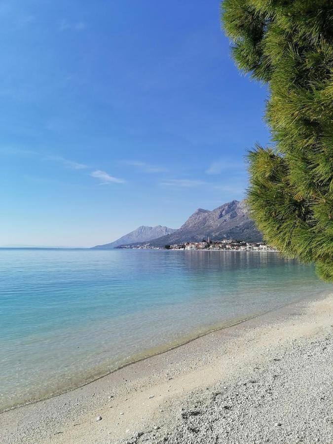 Studio Apartman Zana Leilighet Gradac  Eksteriør bilde